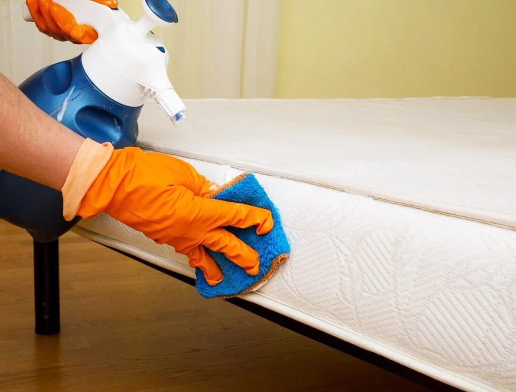 Affordable Steam Mattress Cleaning Australia