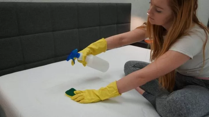 Commercial Vomit Cleaning