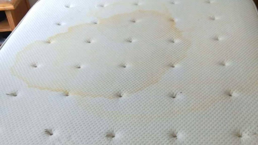 Mattress Stain Removal