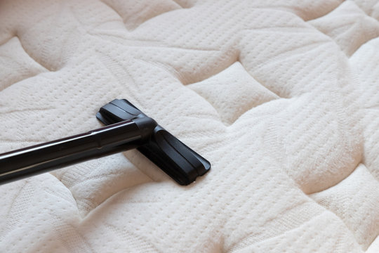 mattress cleaning Services